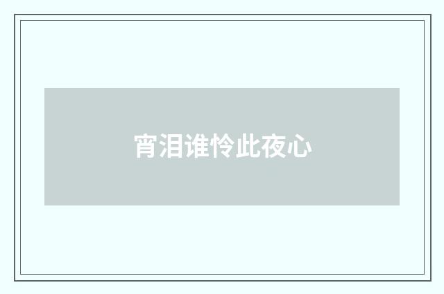 宵泪谁怜此夜心