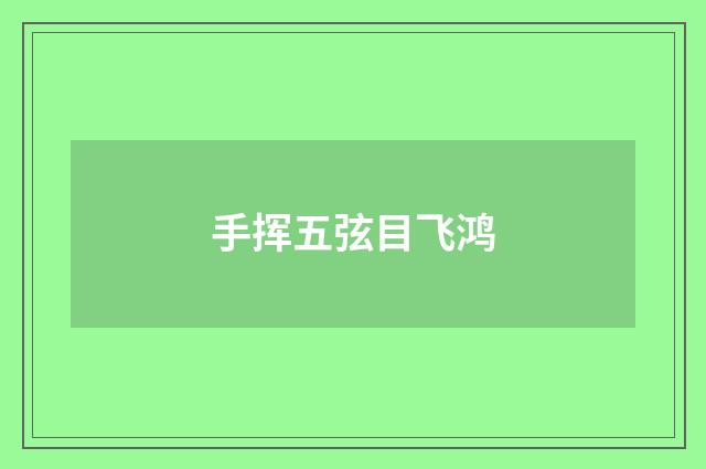 手挥五弦目飞鸿
