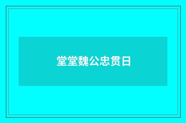 堂堂魏公忠贯日