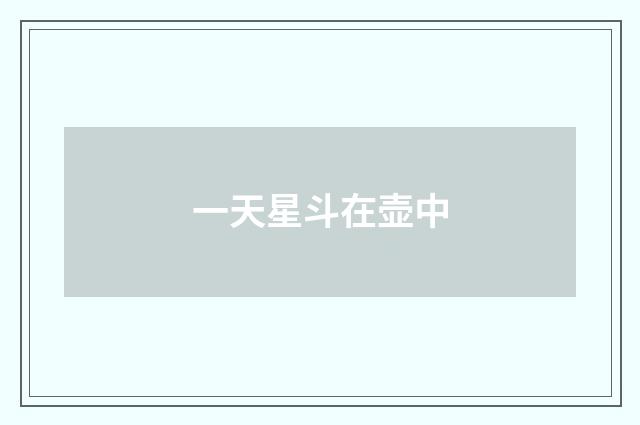 一天星斗在壶中
