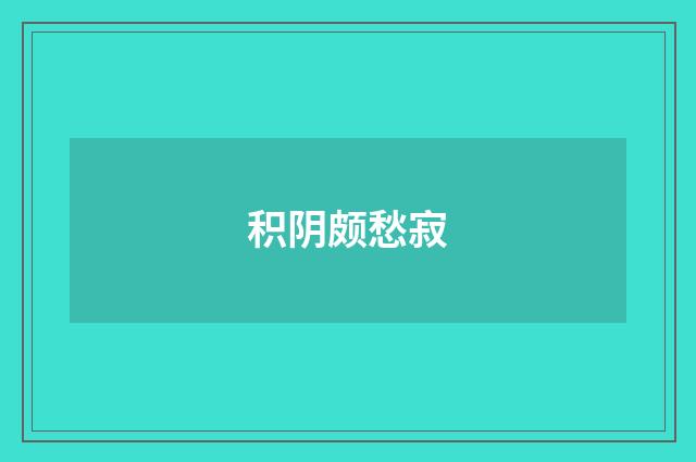 积阴颇愁寂