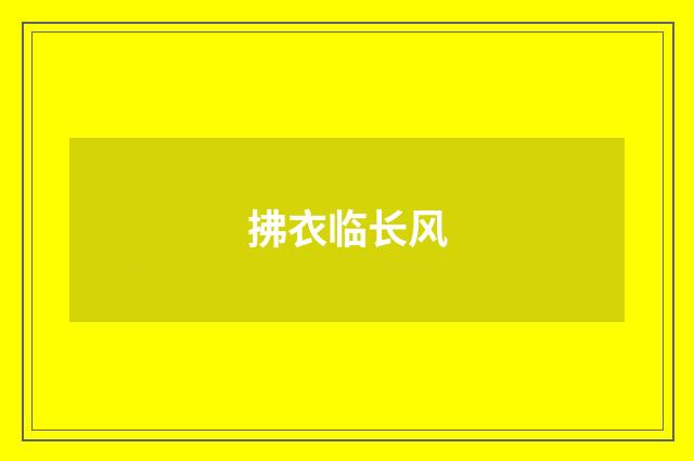 拂衣临长风