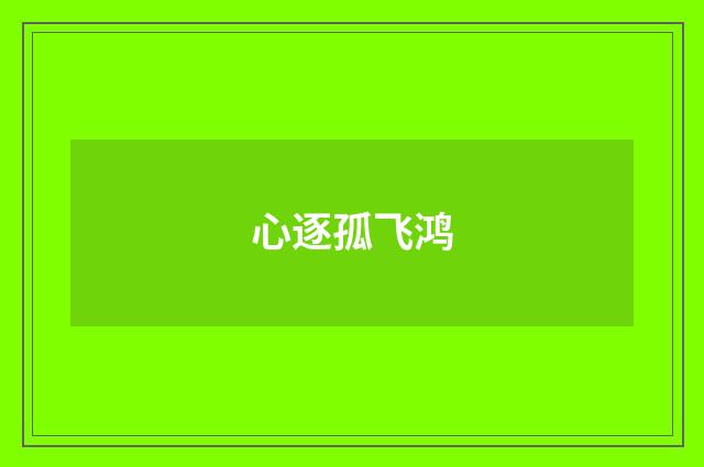 心逐孤飞鸿