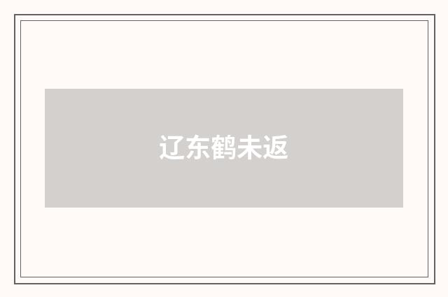 辽东鹤未返