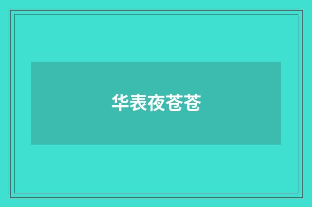 华表夜苍苍