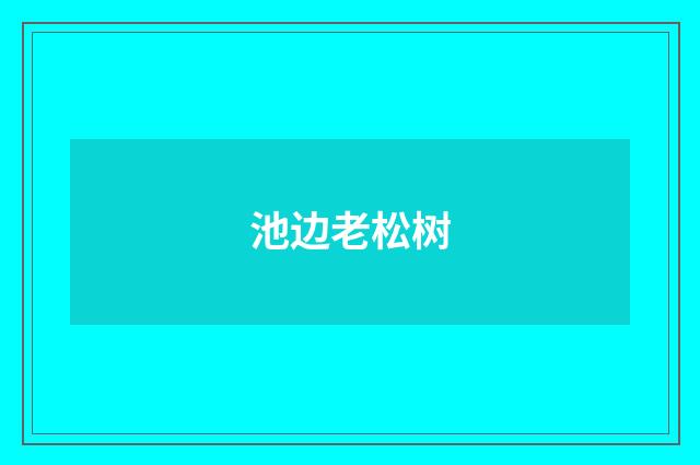 池边老松树