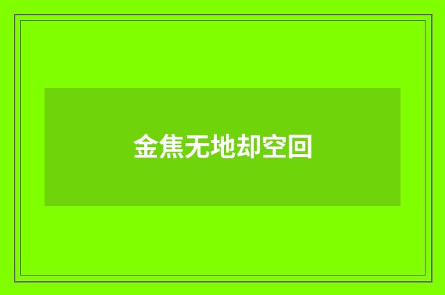 金焦无地却空回