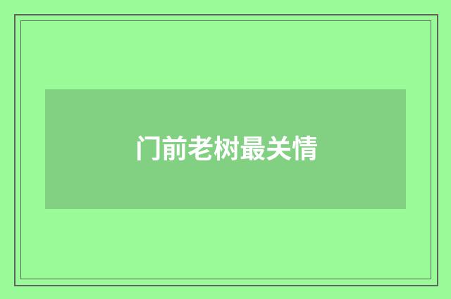 门前老树最关情