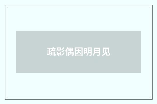 疏影偶因明月见