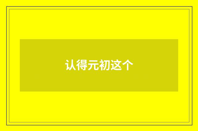 认得元初这个