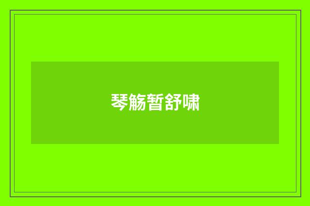 琴觞暂舒啸