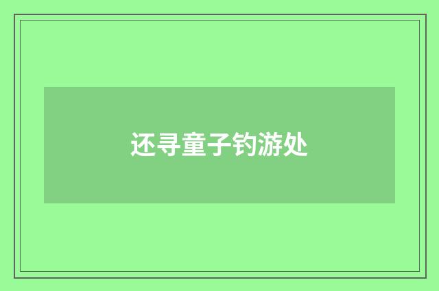 还寻童子钓游处