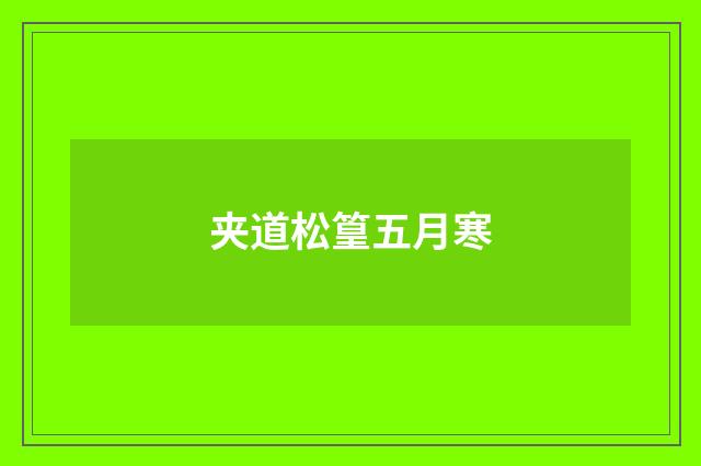 夹道松篁五月寒
