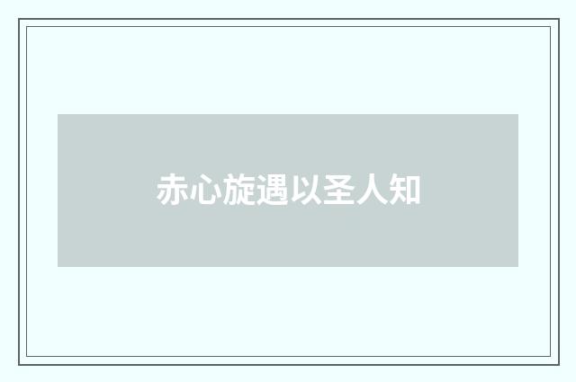 赤心旋遇以圣人知