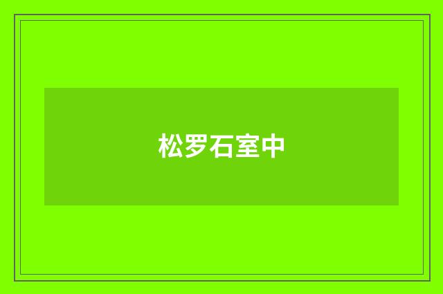 松罗石室中