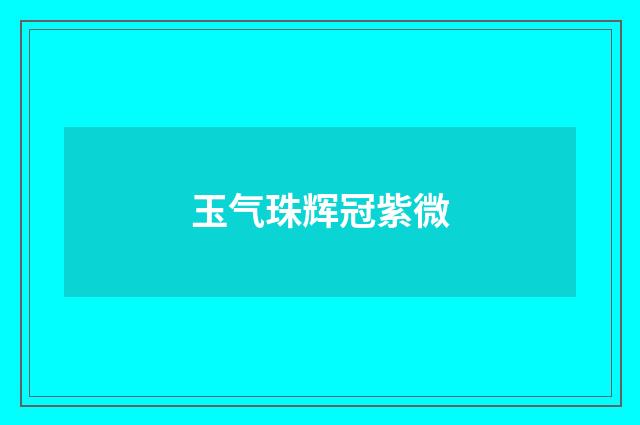 玉气珠辉冠紫微