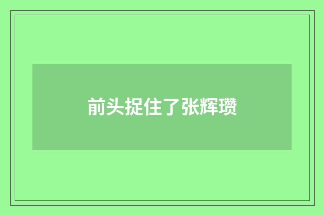 前头捉住了张辉瓒