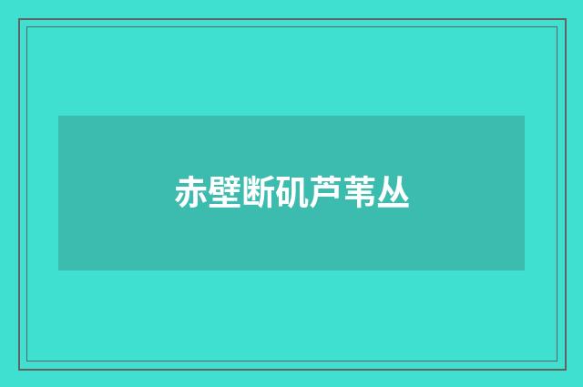 赤壁断矶芦苇丛