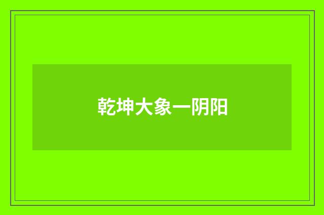 乾坤大象一阴阳