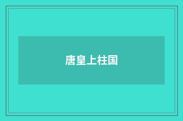 唐皇上柱国