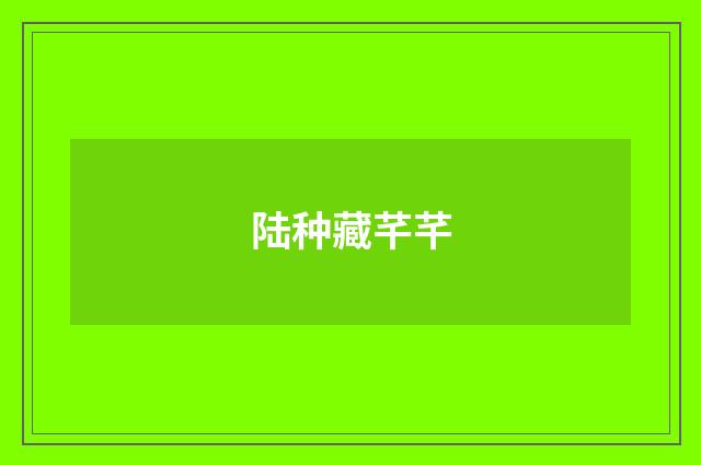 陆种藏芊芊