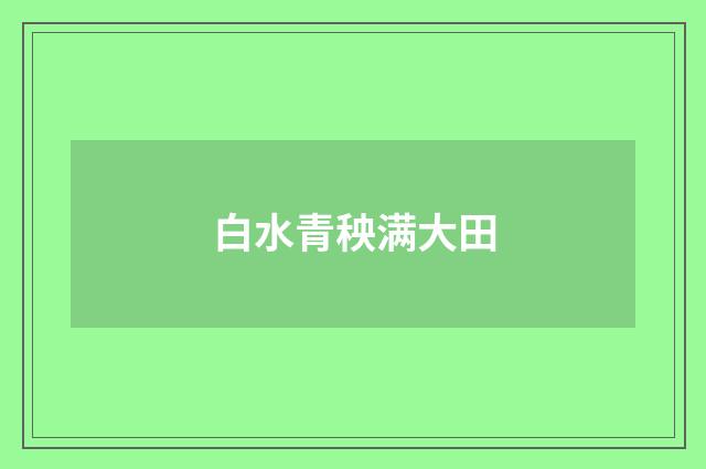 白水青秧满大田