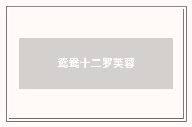 鸳鸯十二罗芙蓉