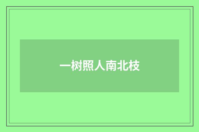 一树照人南北枝