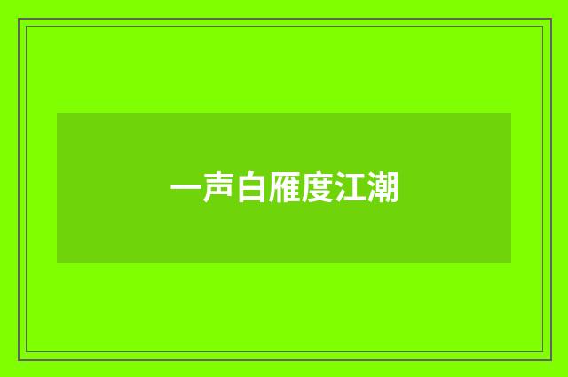 一声白雁度江潮