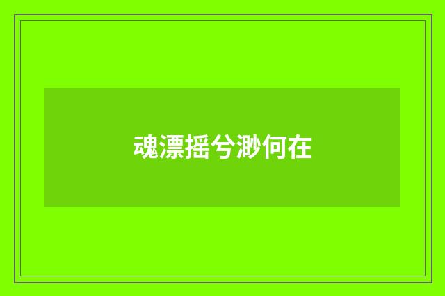 魂漂摇兮渺何在