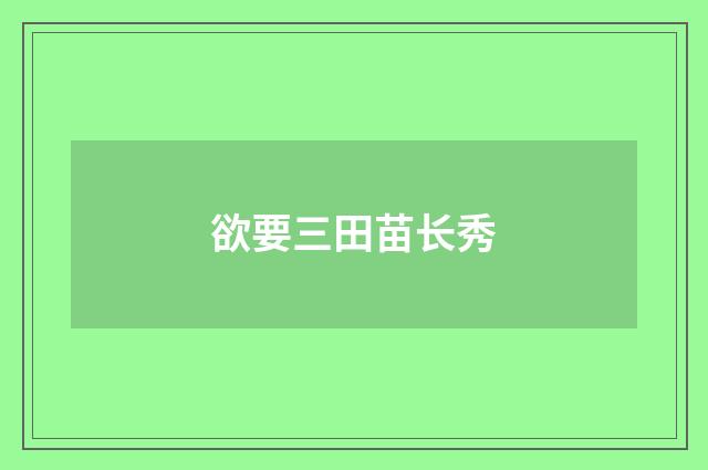 欲要三田苗长秀
