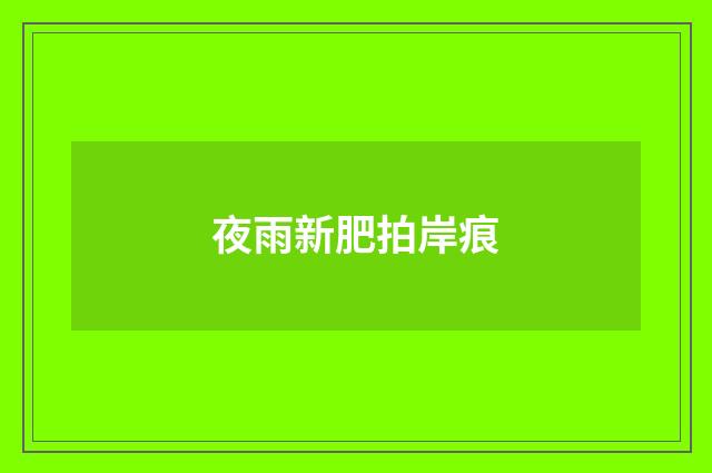 夜雨新肥拍岸痕