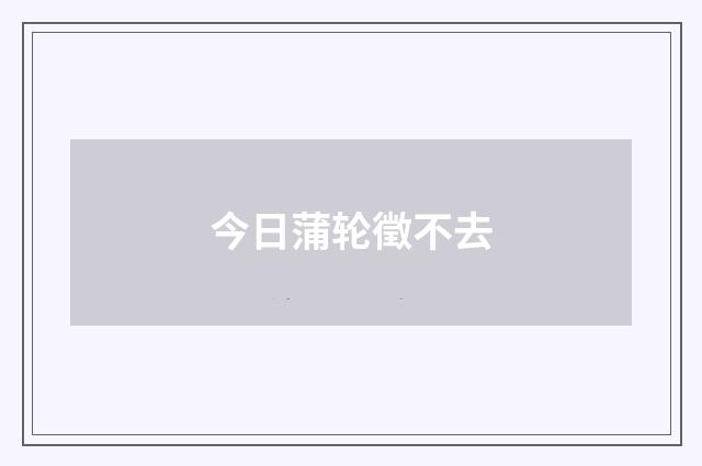 今日蒲轮徵不去