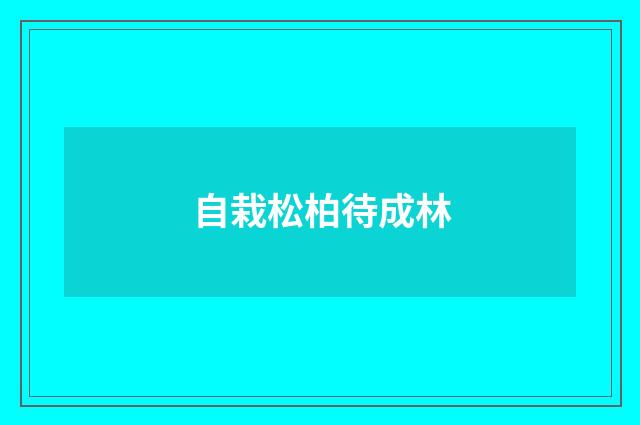 自栽松柏待成林