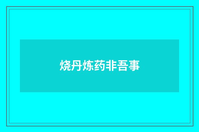 烧丹炼药非吾事