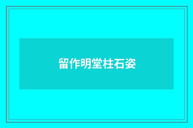 留作明堂柱石姿