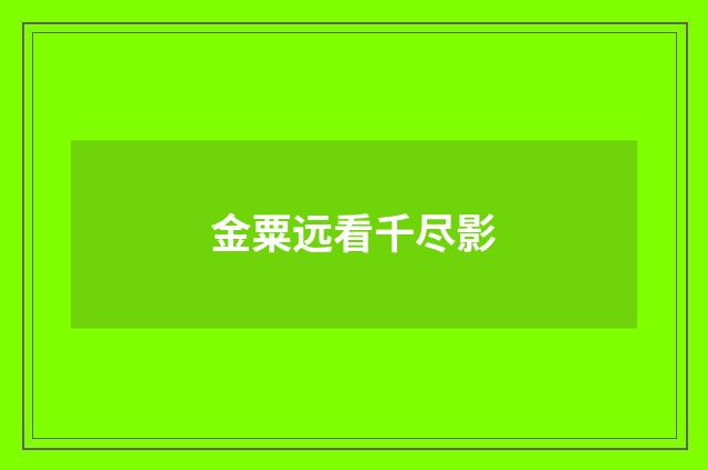 金粟远看千尽影