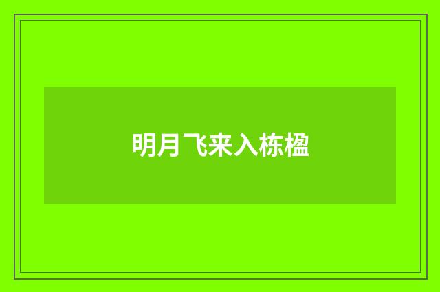 明月飞来入栋楹