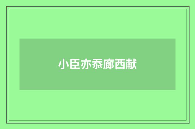 小臣亦忝廊西献