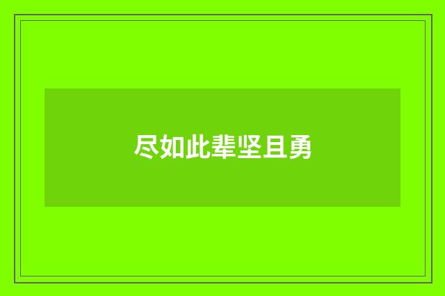 尽如此辈坚且勇
