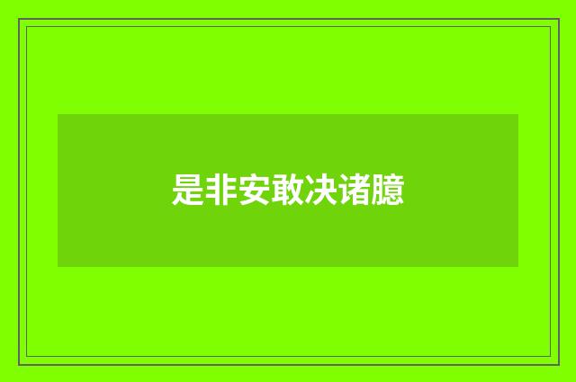 是非安敢决诸臆