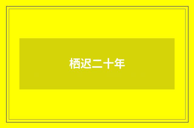 栖迟二十年