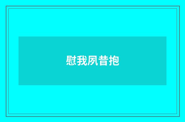 慰我夙昔抱