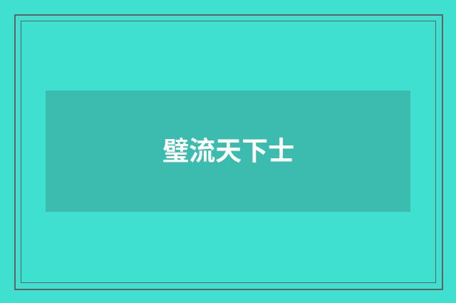 璧流天下士