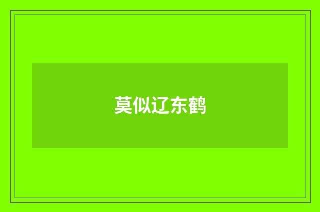 莫似辽东鹤