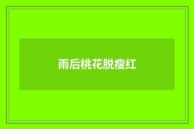 雨后桃花脱瘦红