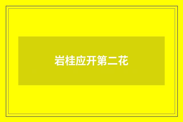 岩桂应开第二花