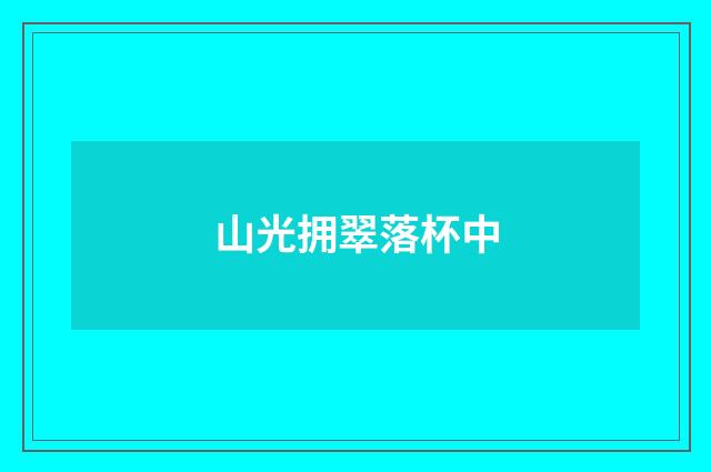 山光拥翠落杯中