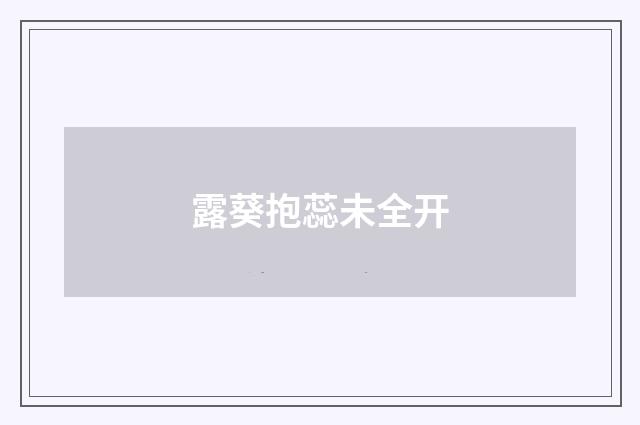露葵抱蕊未全开