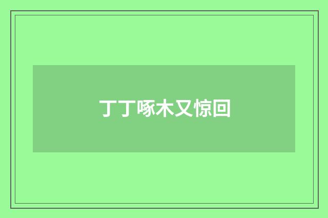 丁丁啄木又惊回